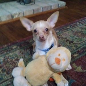 Meet your Posher, Sharon